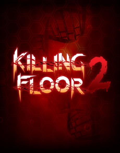 Killing Floor 2 cd key